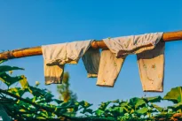 Neišmesk senų drabužių, šios gudrybės sode privers augalus sužydėti kaip niekad anksčiau