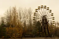 Černobylio tankmėje – gyvybė, kuri atsitiesė be žmogaus: mokslininkai liko be žado