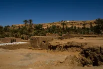 Mokslininkai atkasė masinį kapą Jordanijoje: atskleista tikroji senovės pandemijos kaina