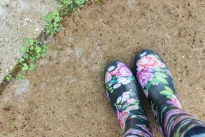 Sunku patikėti, bet tai veikia: paprastas virtuvės triukas prieš piktžoles