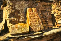 Istorijos lūžis: iššifruoti įrašai atskleidė tvirtovę, kurios nepalaužė nė viena kariuomenė