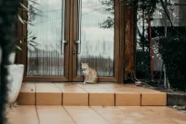 Šaltis veržiasi pro duris, bet yra vienas pigus triukas, kuris jį sustabdo visam žiemos sezonui