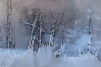 Šilumos nuostoliai pro langus mažėja akimirksniu: triukas už kelis eurus veikia visą sezoną