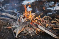 Ugnis pakeitė mūsų DNR? Mokslininkai teigia, kad nudegimai galėjo formuoti žmogaus evoliuciją