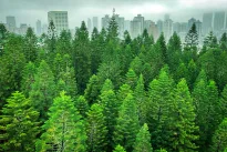 AŽmonija artėja prie katastrofinės situacijos: mokslininkai skambina pavojaus varpais, būtų blogai