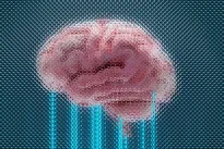 Mokslininkai sukūrė 3D tinklą, kuris 91 % tikslumu „perskaito" mini smegenų signalus