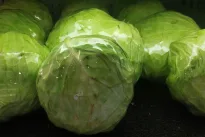 Verdate kopūstus? Šeimininkės gudrybė su vyno kamščiu padės pamiršti nemalonų kvapą visam laikui