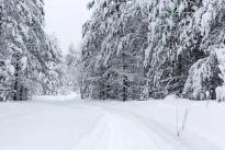 Pasiruoškite tikrai sniego lavinai: prognozės keičiasi kardinaliai, žiema pagaliau atsibunda