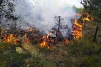 Gaisrų Lietuvoje daugiau, bet mirčių mažėja: pernai žuvo 70 žmonių ir nė vieno vaiko