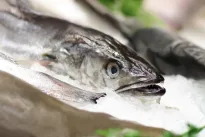 5 receptai su žuvimi, kuriuos nuolat kartosite dar iki Kūčių: nuo šventiškos lašišos iki itin kvapnaus šamo