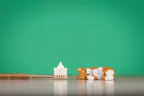 Šios dantų pastos gali daryti daugiau žalos nei naudos: odontologė perspėja neapsigauti