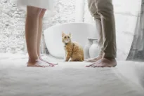 Auginate katę? Ekspertai įvardijo didžiausią klaidą, kurią daro dauguma kačių augintojų