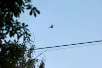 Rusija peržengė visas įmanomas ribas: „Shahed“ dronai Ukrainoje pradėjo barstyti minas iš oro