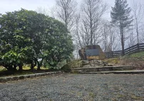 img471009