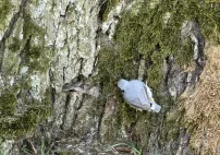 img476927
