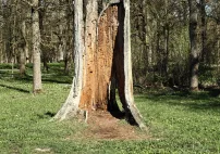 img476929