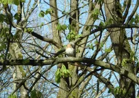 img476943